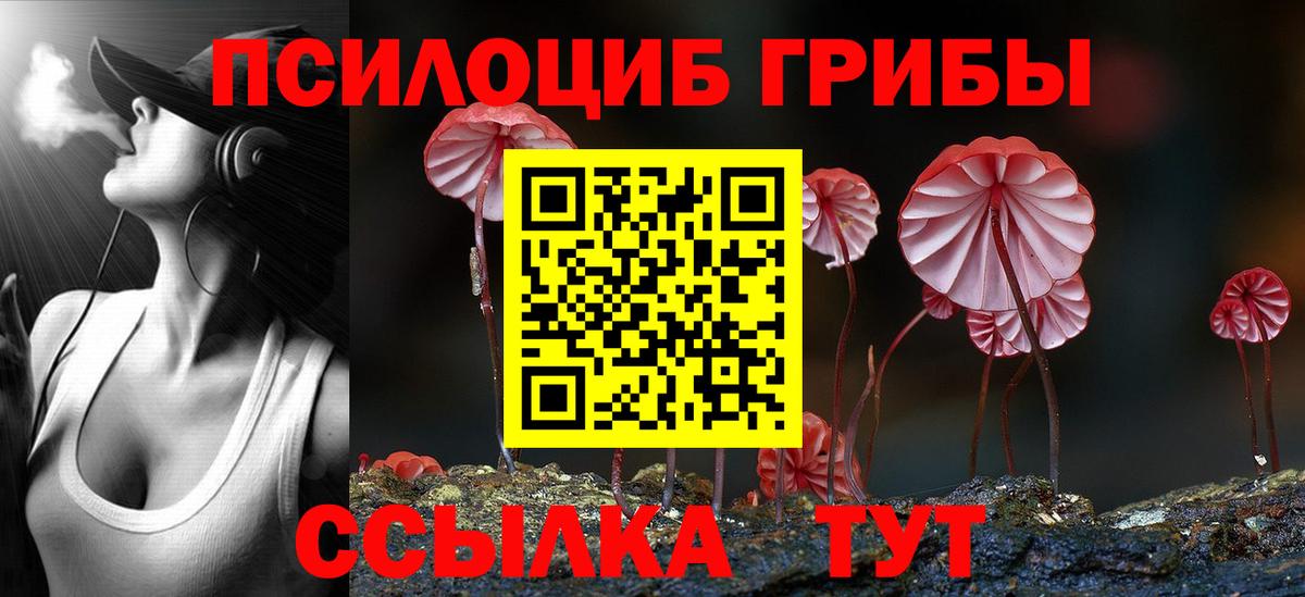 как найти закладки  Галлюциногенные грибы Psilocybine cubensis  Сланцы  Вход с VPN  Псилоцибиновые грибы Magic Shrooms 