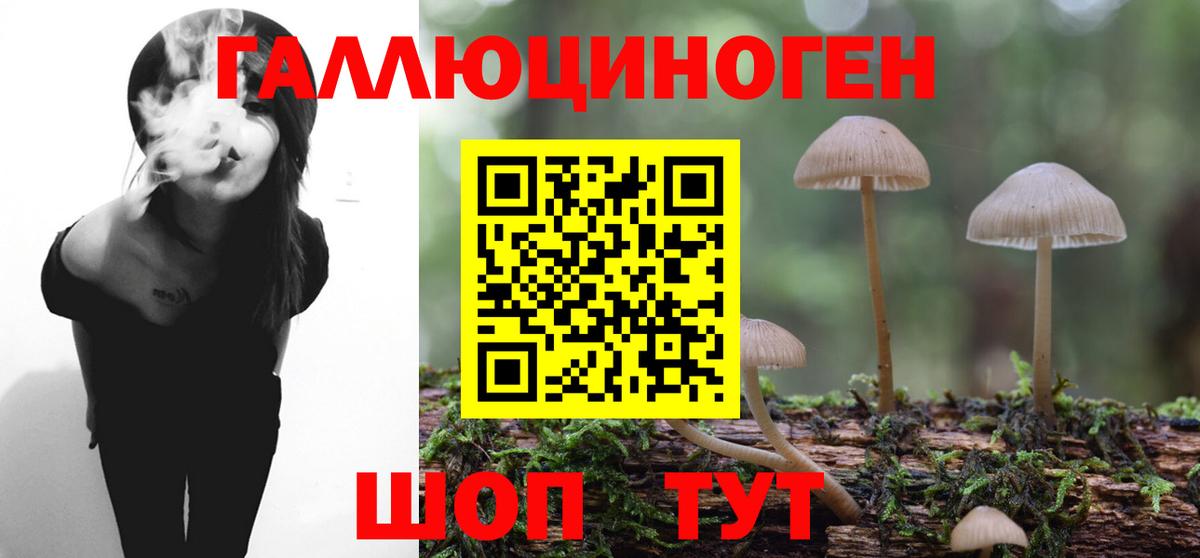 Галлюциногенные грибы мицелий Сланцы